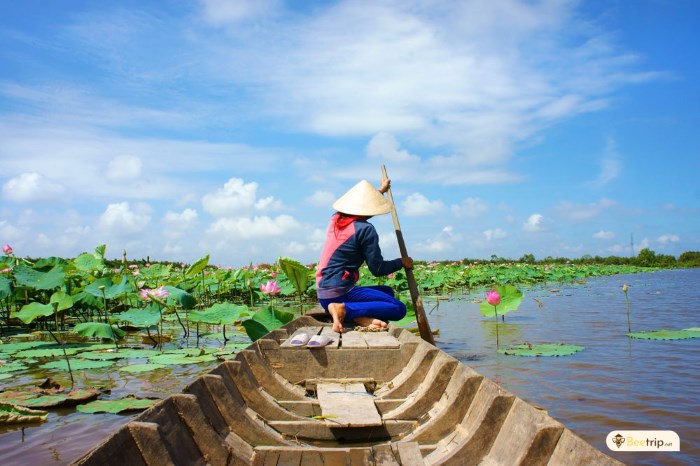 rowing-boat-on-canals