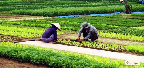 HOI AN - TRA QUE VILLAGE DAY TOUR