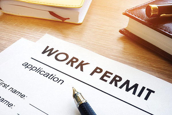 Work Permit Application