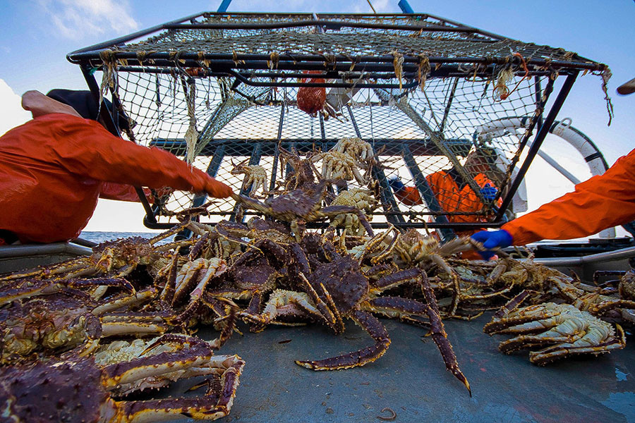 king-crab-phan-thiet